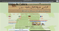 Desktop Screenshot of hidesdecalera.com