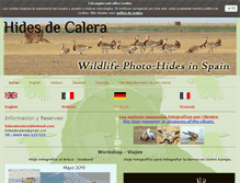 Tablet Screenshot of hidesdecalera.com